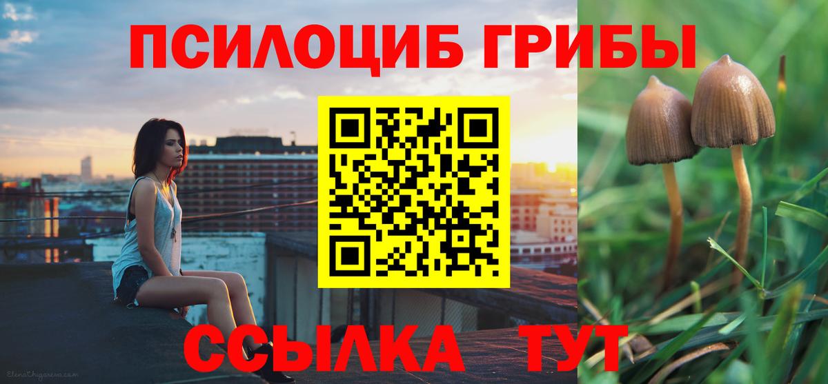 Псилоцибиновые грибы Psilocybine cubensis  Вход с VPN  Ялта 